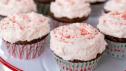 Double Chocolate Mint Cupcakes