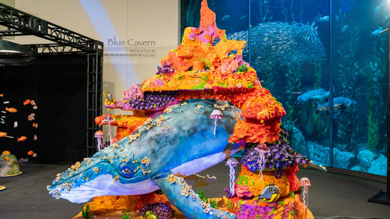 Buddy vs. Duff Extra Sweet: Under the Sea