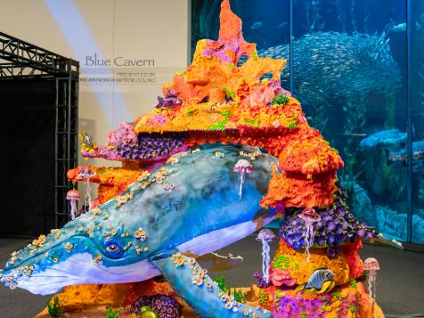 Buddy vs. Duff Extra Sweet: Under the Sea