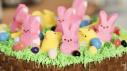 Easter Basket Cake