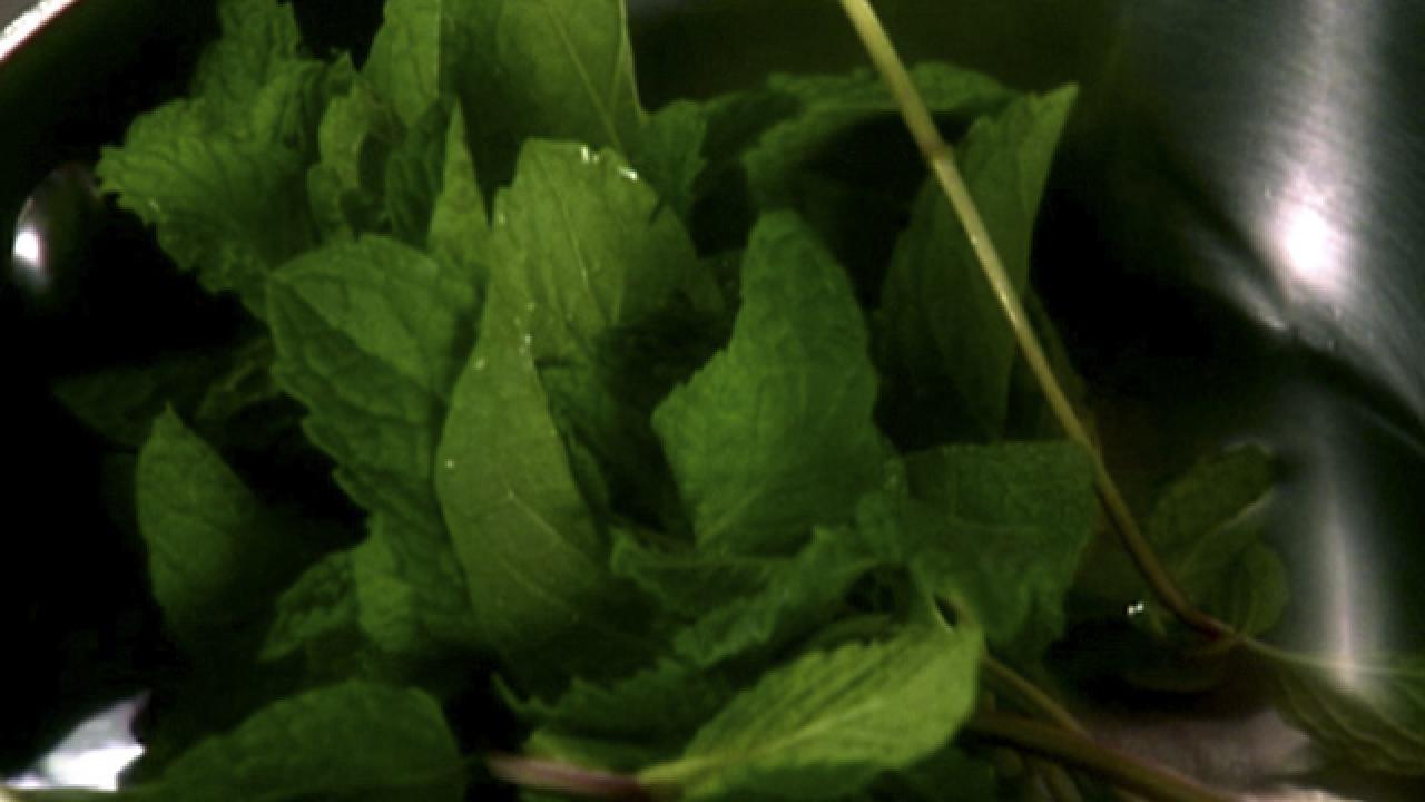 Apple and Mint Punch