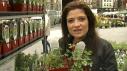 Cooking With Fresh Herbs