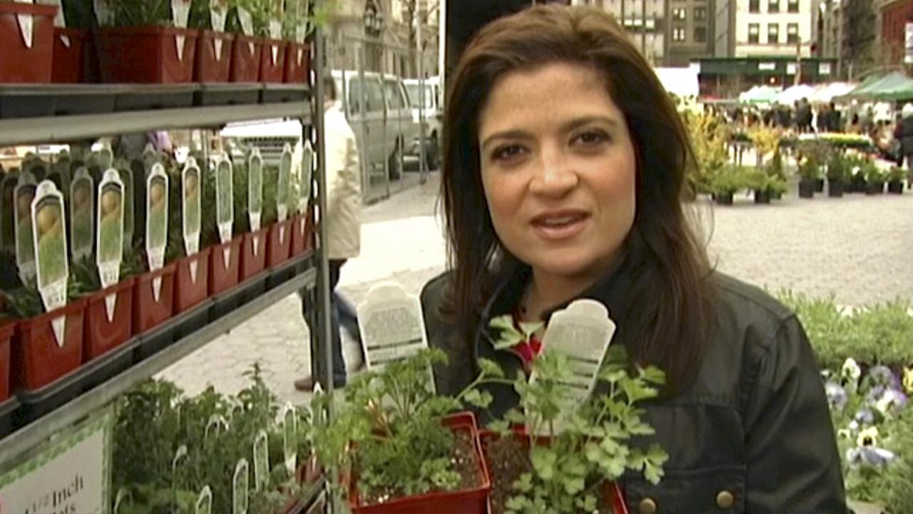 Cooking With Fresh Herbs