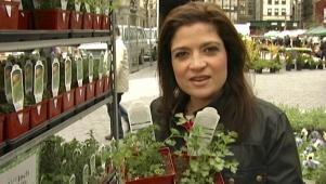 Cooking With Fresh Herbs