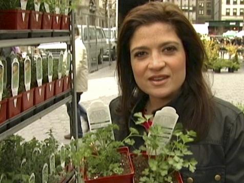 Cooking With Fresh Herbs