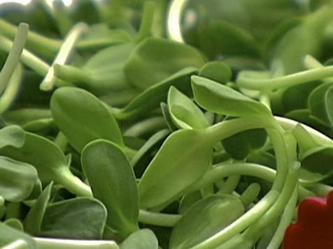 Using Spring Greens