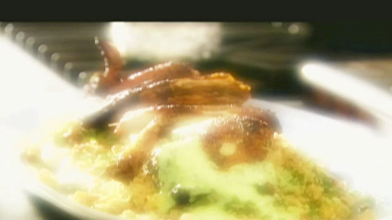 Chicken With Apricot Couscous