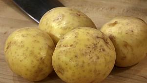 Grilled Potato Salad