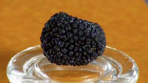 Iron Chef: Alton on Truffles