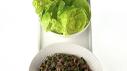 Turkey Larb