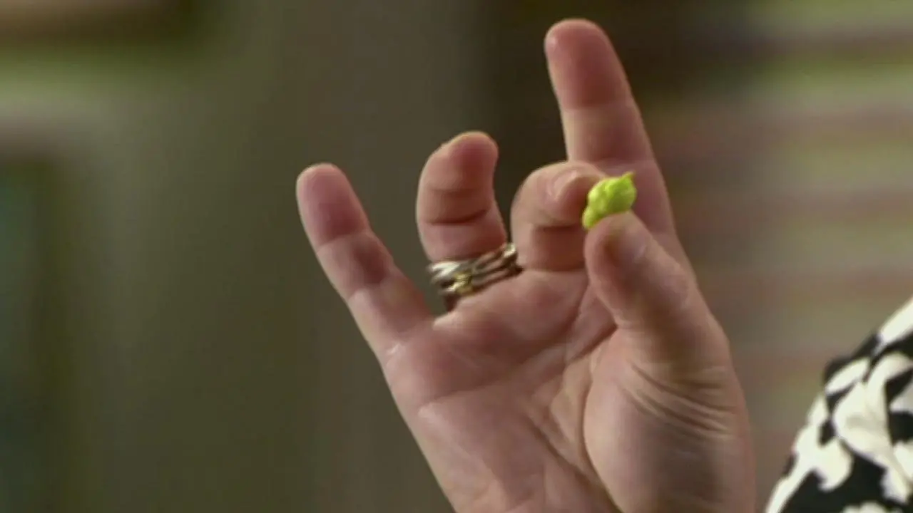 Anne Burrell's Fava Bean Soup