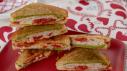 Turkey Parmesan Panini