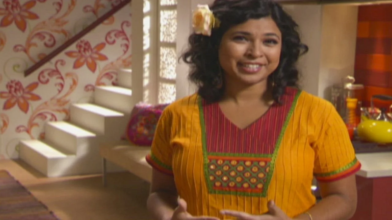 Aarti Party: About the Show