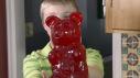Giant Gummy Bear