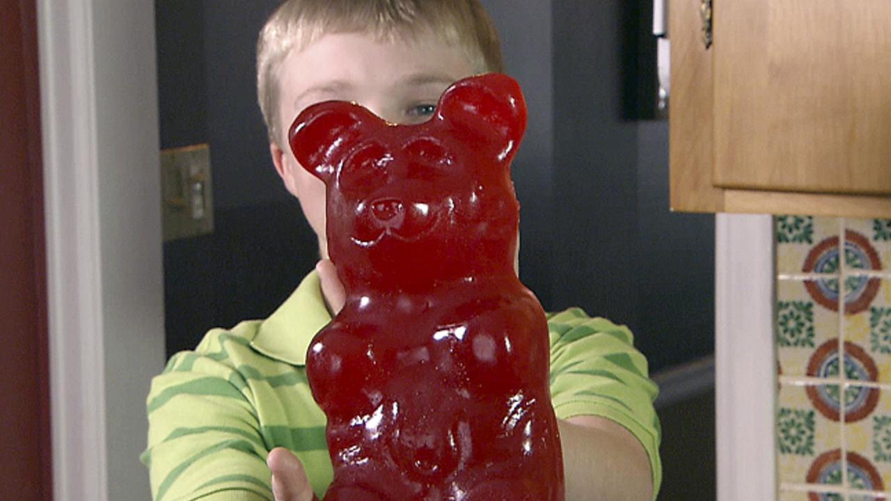 Giant Gummy Bear
