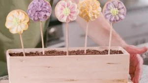 Lollipop Cookie Garden