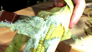 Grilled Corn with Dill Butter